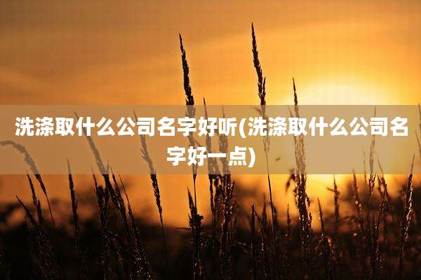 洗涤取什么公司名字好听(洗涤取什么公司名字好一点)