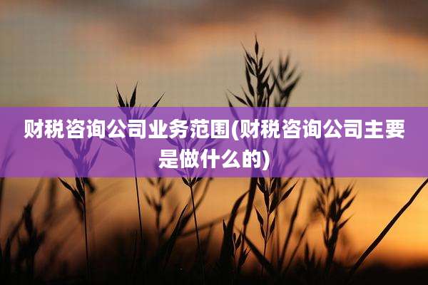 财税咨询公司业务范围(财税咨询公司主要是做什么的)