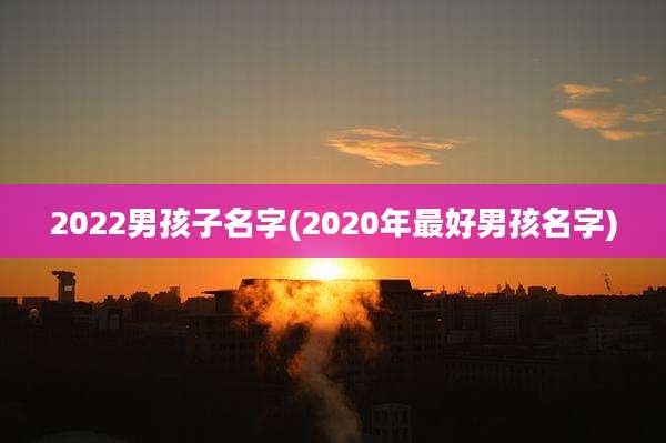 2022男孩子名字(2020年最好男孩名字)