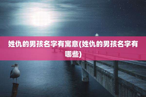 姓仇的男孩名字有寓意(姓仇的男孩名字有哪些)
