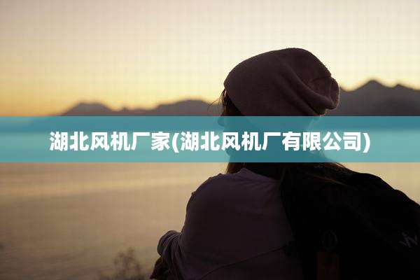 湖北风机厂家(湖北风机厂有限公司)