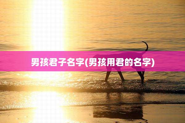 男孩君子名字(男孩用君的名字)