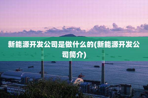 新能源开发公司是做什么的(新能源开发公司简介)