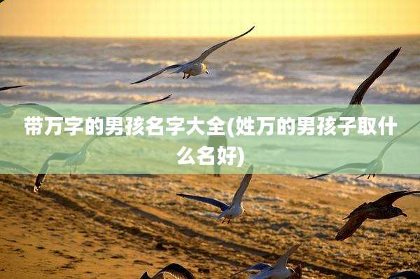 带万字的男孩名字大全(姓万的男孩子取什么名好)