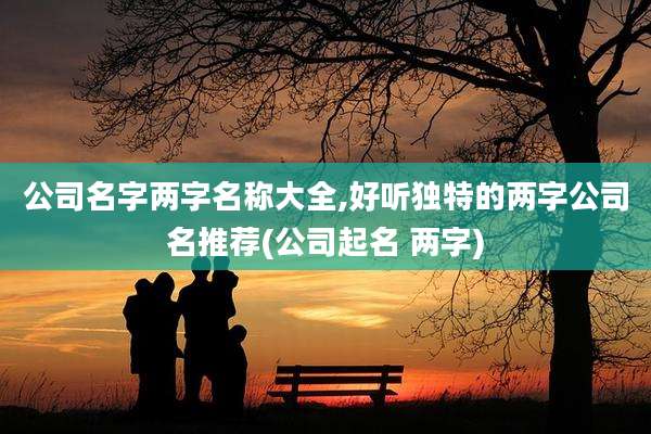 公司名字两字名称大全,好听独特的两字公司名推荐(公司起名 两字)