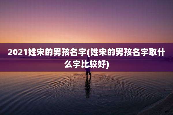 2021姓宋的男孩名字(姓宋的男孩名字取什么字比较好)