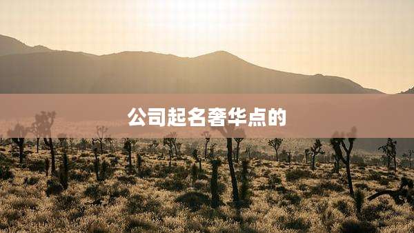 公司起名奢华点的