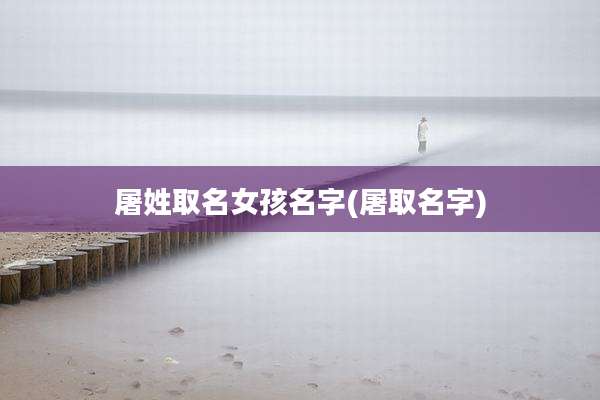 屠姓取名女孩名字(屠取名字)