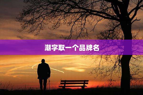 潮字取一个品牌名