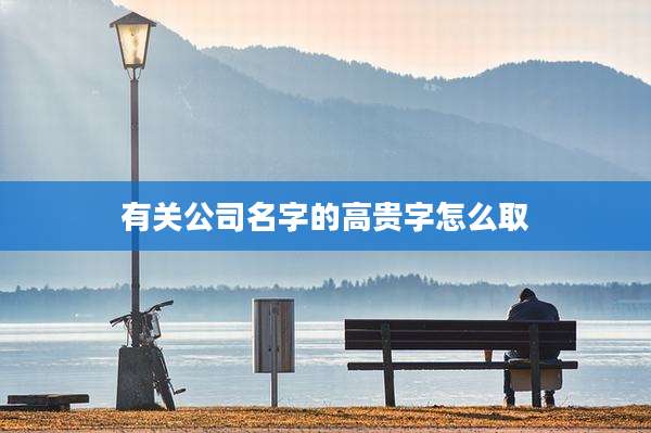 有关公司名字的高贵字怎么取