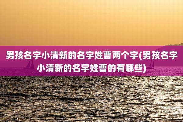 男孩名字小清新的名字姓曹两个字(男孩名字小清新的名字姓曹的有哪些)