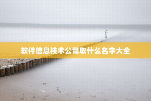 软件信息技术公司取什么名字大全