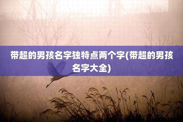 带超的男孩名字独特点两个字(带超的男孩名字大全)