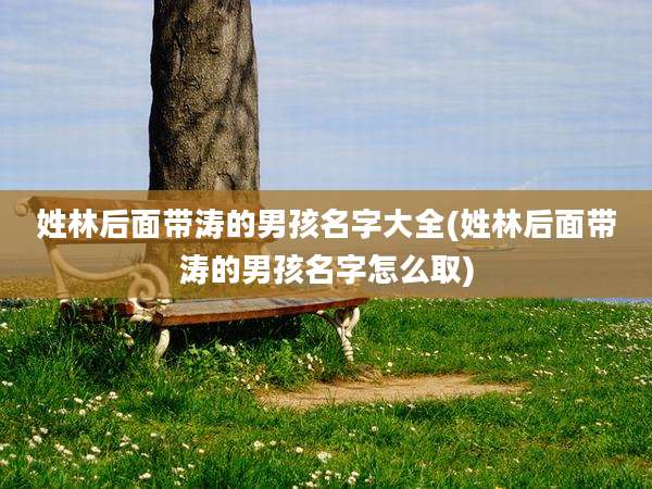 姓林后面带涛的男孩名字大全(姓林后面带涛的男孩名字怎么取)
