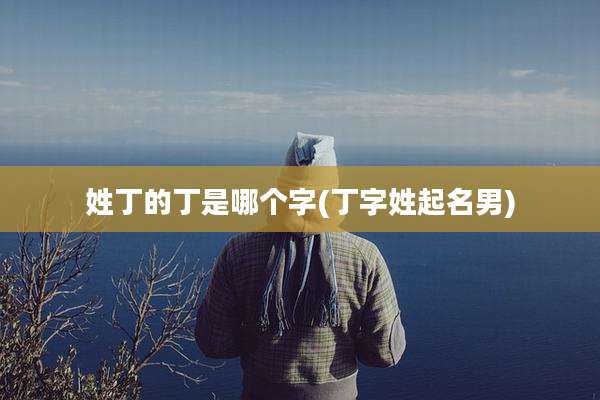 姓丁的丁是哪个字(丁字姓起名男)
