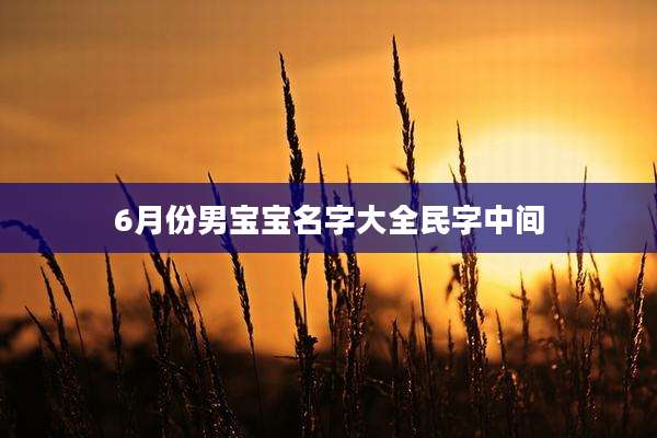 6月份男宝宝名字大全民字中间