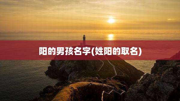 阳的男孩名字(姓阳的取名)