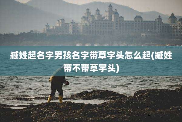 臧姓起名字男孩名字带草字头怎么起(臧姓带不带草字头)