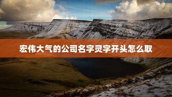 宏伟大气的公司名字灵字开头怎么取