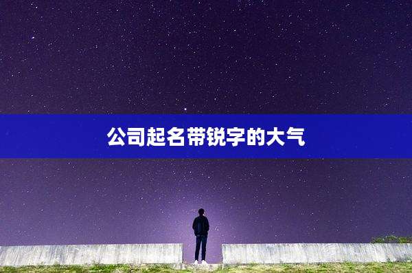 公司起名带锐字的大气
