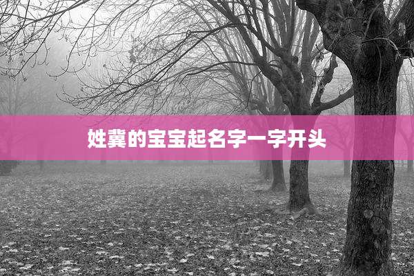 姓冀的宝宝起名字一字开头