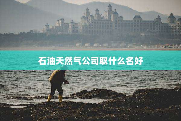 石油天然气公司取什么名好