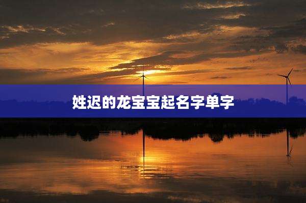 姓迟的龙宝宝起名字单字