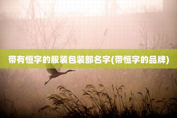 带有恒字的服装包装部名字(带恒字的品牌)
