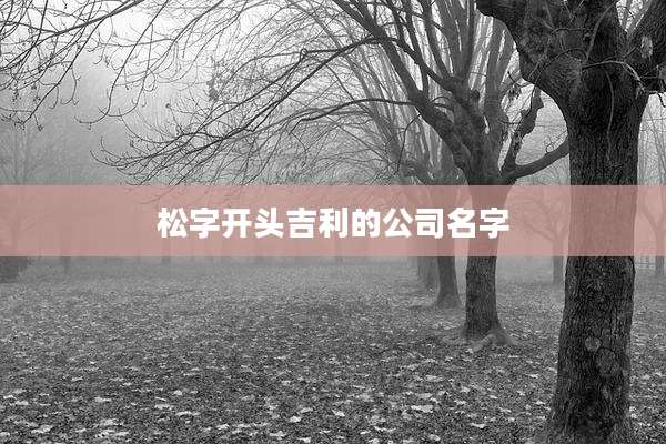 松字开头吉利的公司名字