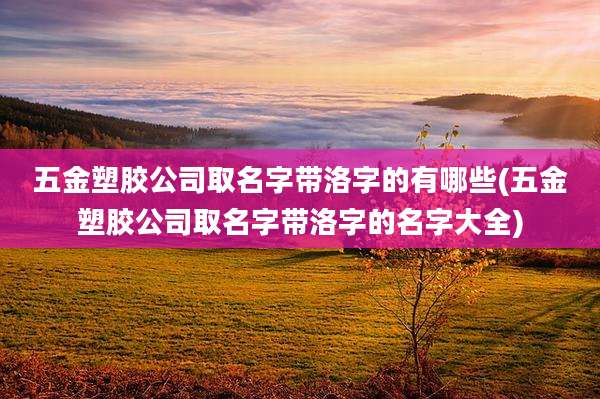 五金塑胶公司取名字带洛字的有哪些(五金塑胶公司取名字带洛字的名字大全)