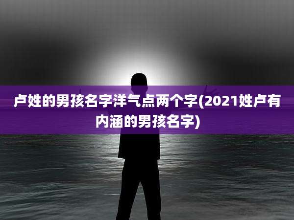 卢姓的男孩名字洋气点两个字(2021姓卢有内涵的男孩名字)