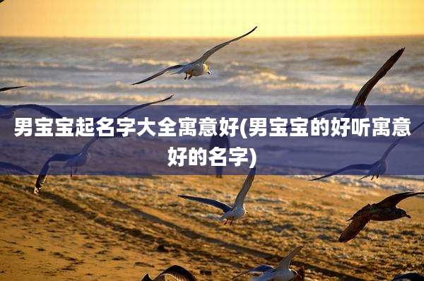 男宝宝起名字大全寓意好(男宝宝的好听寓意好的名字)