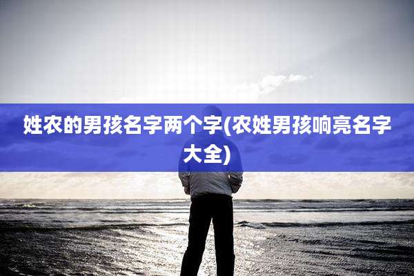 姓农的男孩名字两个字(农姓男孩响亮名字大全)
