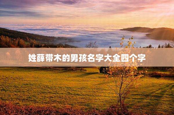 姓薛带木的男孩名字大全四个字