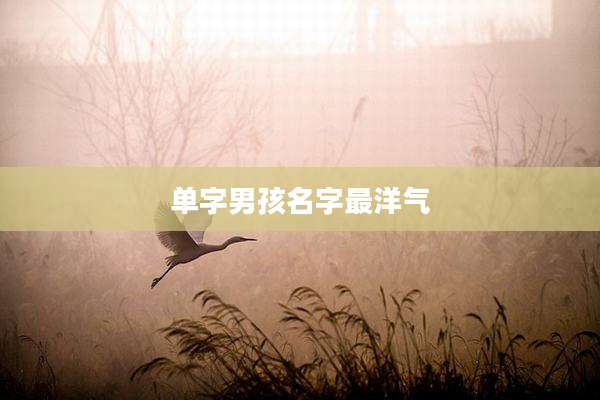 单字男孩名字最洋气