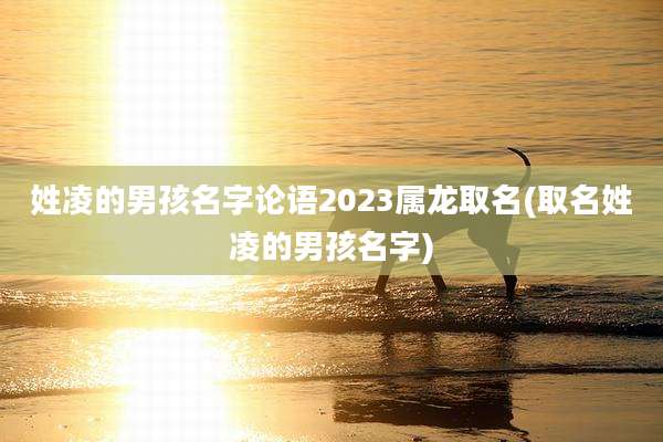 姓凌的男孩名字论语2023属龙取名(取名姓凌的男孩名字)