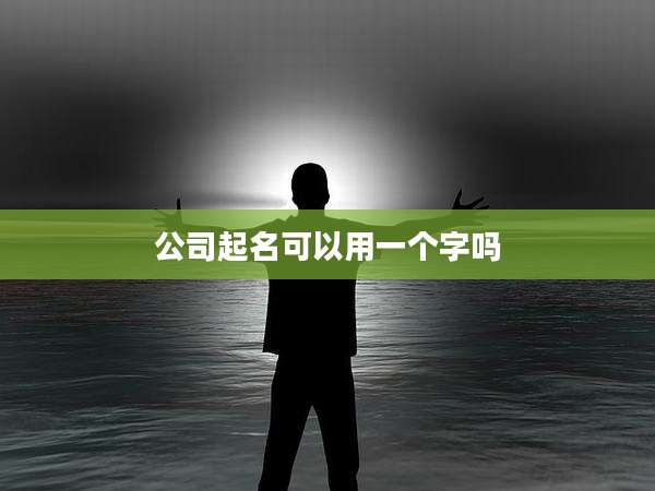 公司起名可以用一个字吗