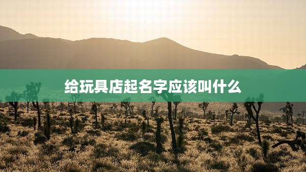 给玩具店起名字应该叫什么