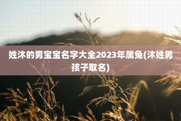 姓沐的男宝宝名字大全2023年属兔(沐姓男孩子取名)