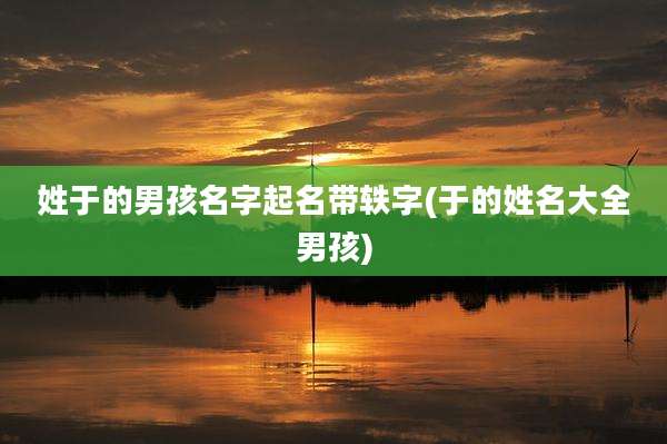 姓于的男孩名字起名带轶字(于的姓名大全男孩)