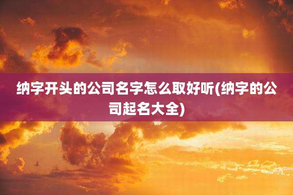 纳字开头的公司名字怎么取好听(纳字的公司起名大全)