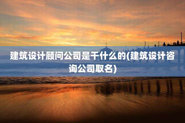 建筑设计顾问公司是干什么的(建筑设计咨询公司取名)