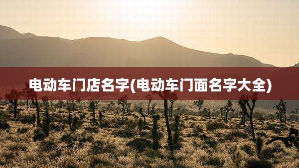 电动车门店名字(电动车门面名字大全)