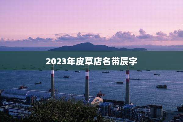 2023年皮草店名带辰字