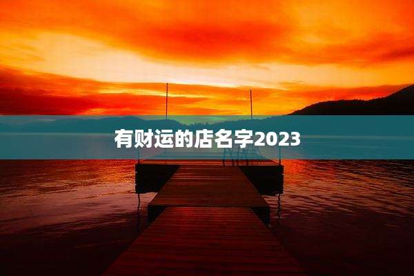有财运的店名字2023