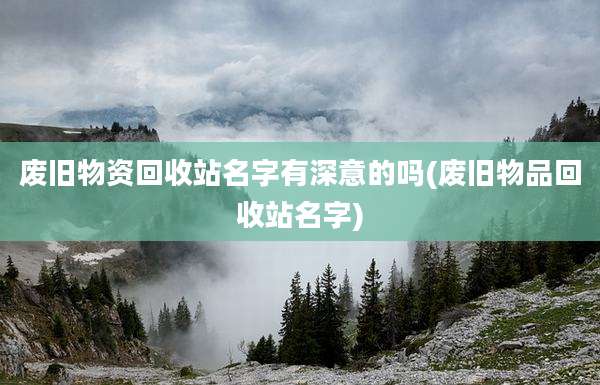 废旧物资回收站名字有深意的吗(废旧物品回收站名字)