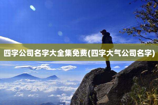 四字公司名字大全集免费(四字大气公司名字)