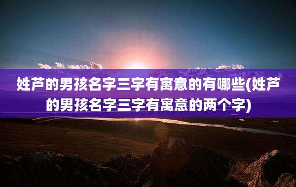 姓芦的男孩名字三字有寓意的有哪些(姓芦的男孩名字三字有寓意的两个字)