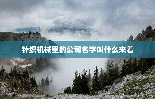 针织机械里的公司名字叫什么来着