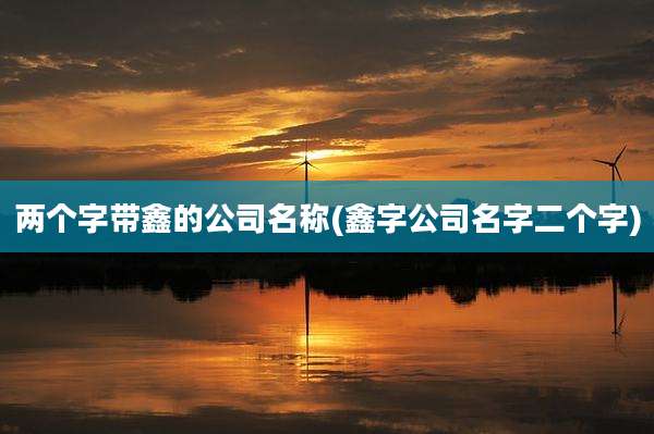 两个字带鑫的公司名称(鑫字公司名字二个字)